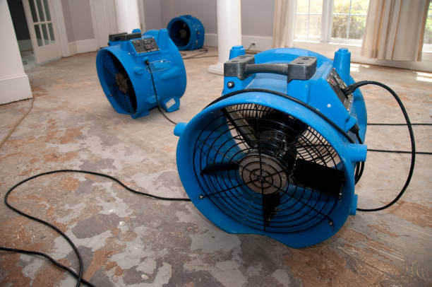 Trusted Water Damage Restoration in Daphne, AL | Fast, Reliable, and Ready to Assist You